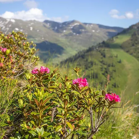 Apartamento Haus Martina In - Ohne Verpflegung